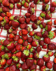 Tarte fraises + rhubarbe | Congelée