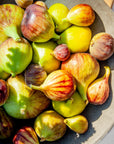 Tartinade de figues fraîches du Québec
