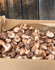 Des champignons shiitake frais.
