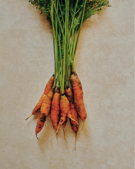 Photo d'un bouquet de carottes.